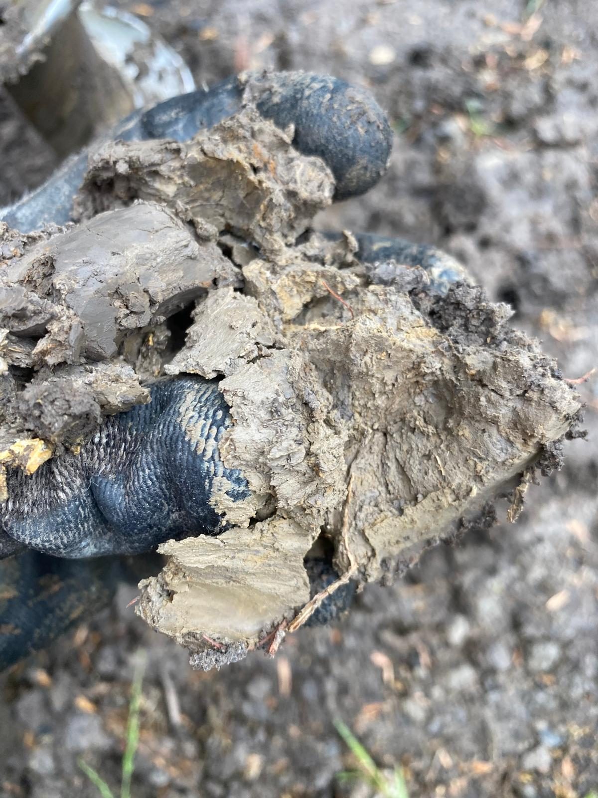 Clay sample recovered from an auger for classification